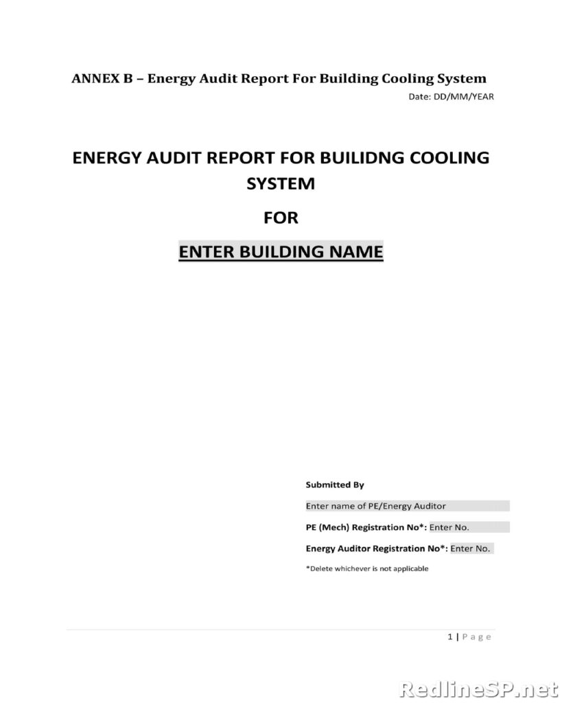 Audit Report 06