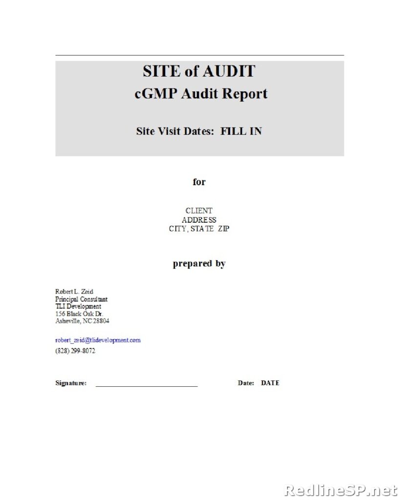 Audit Report Example 10