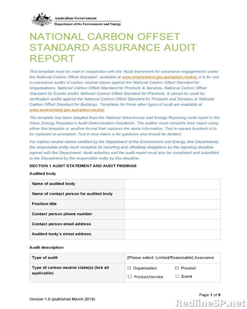 Audit Report Example 29