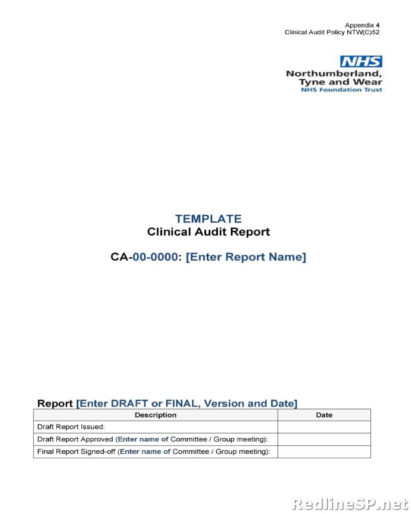 Audit Report Example 31
