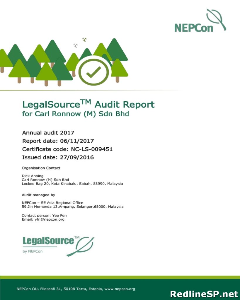 Audit Report Sample 39