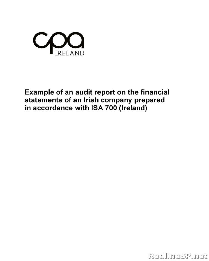 Audit Report Sample 50