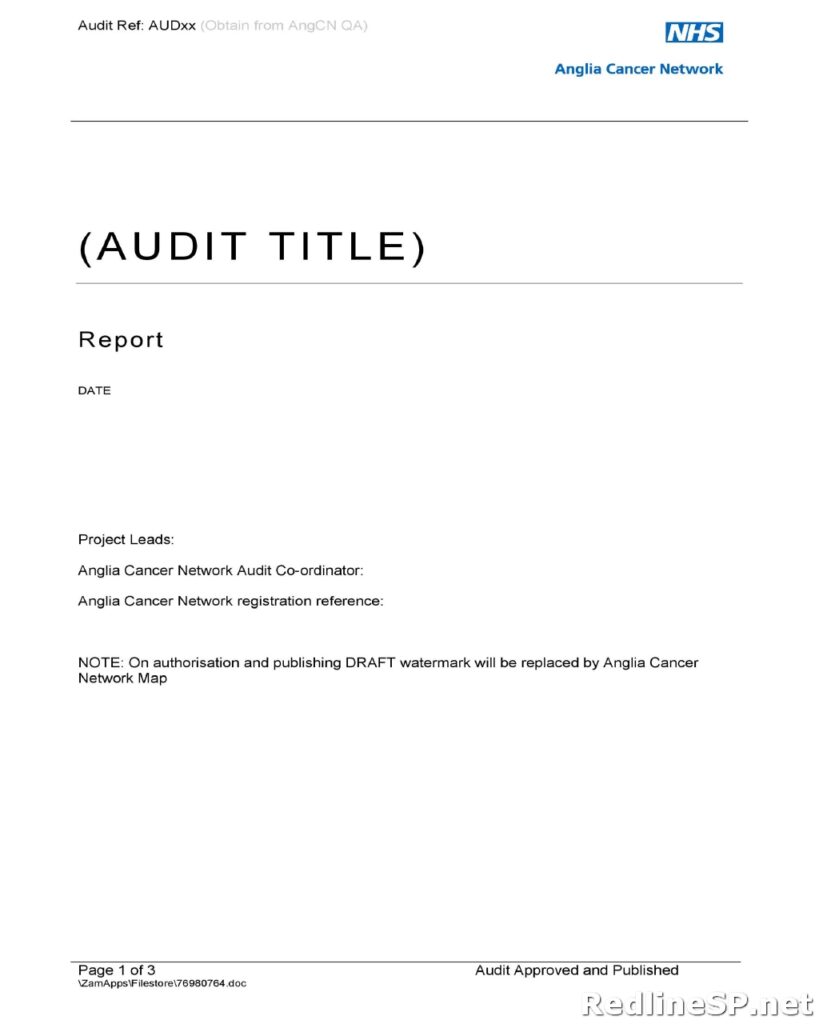 Audit Report Template 09