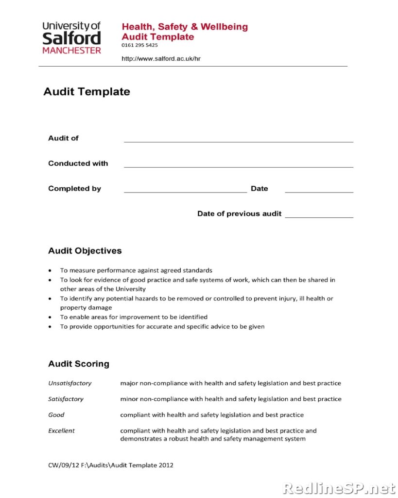 Audit Report Template 11