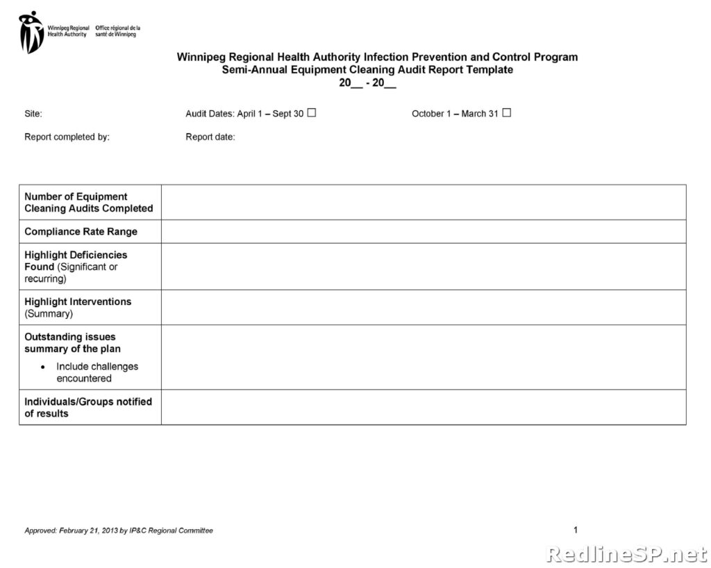 Audit Report Template 12