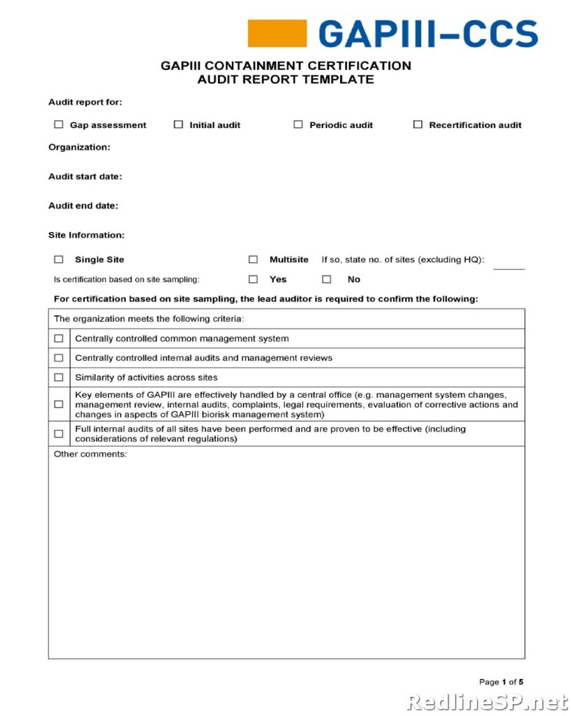 Audit Report Template 13