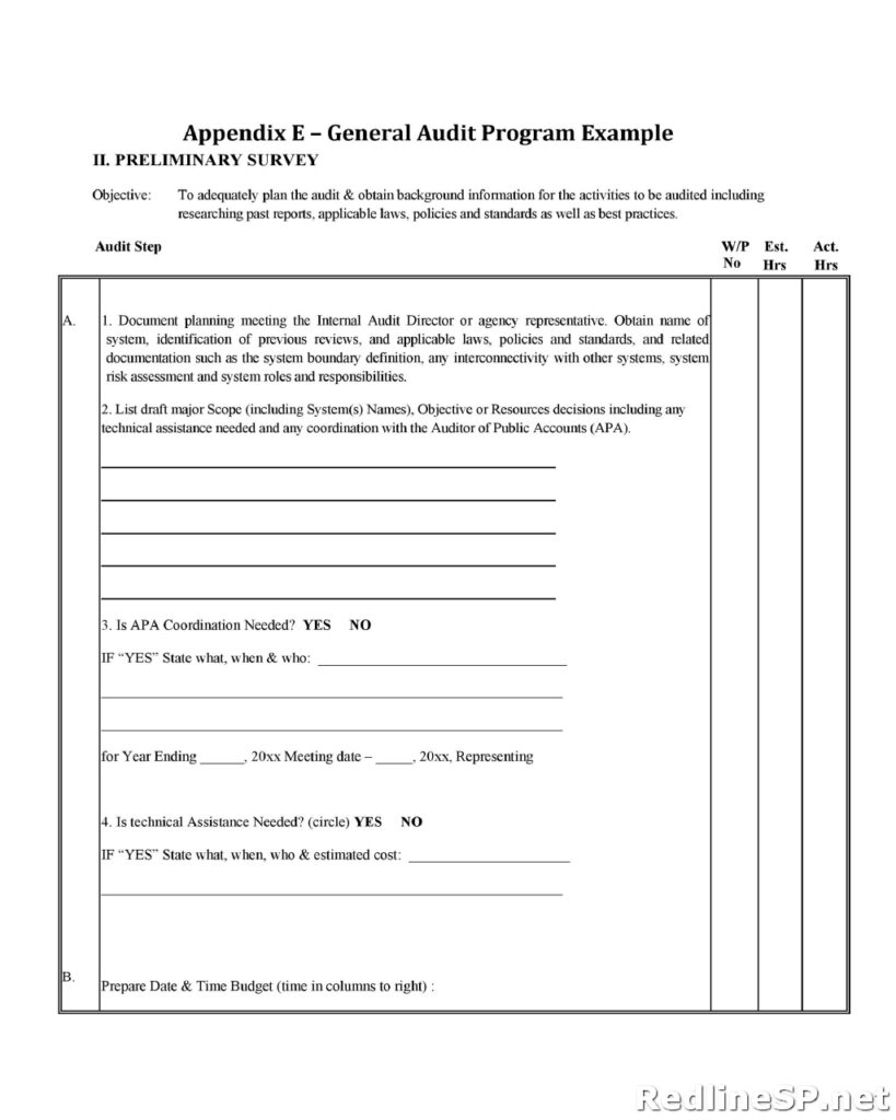 Audit Report Template 14