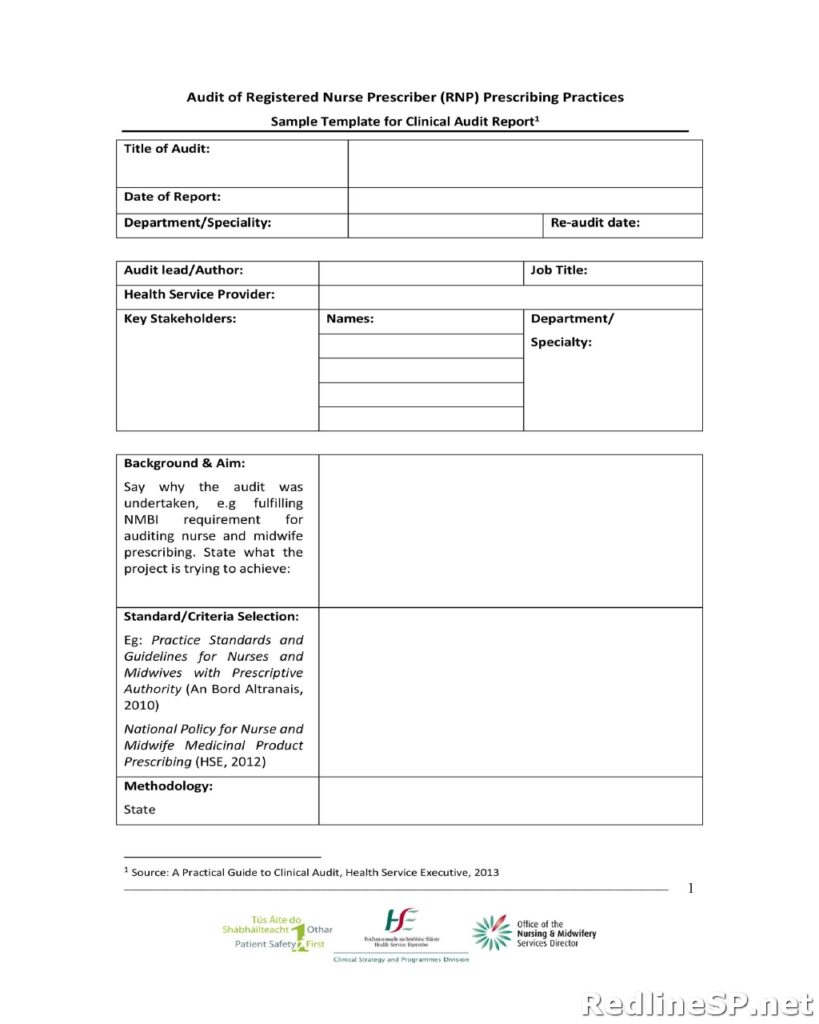 Audit Report Template 17