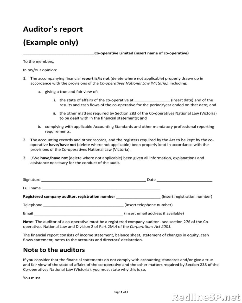 Audit Report Template 18