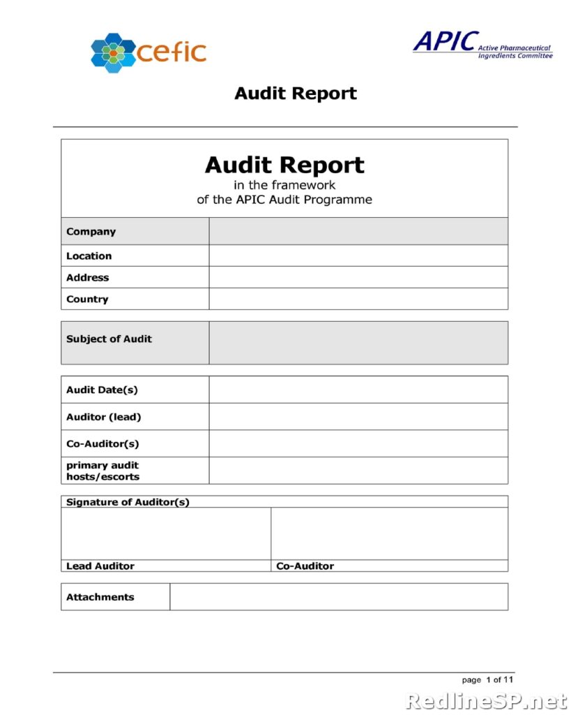 Audit Report Template 20