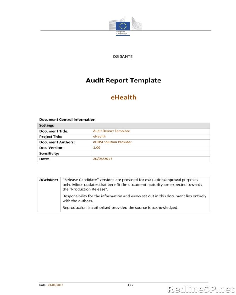 Audit Report Template 22