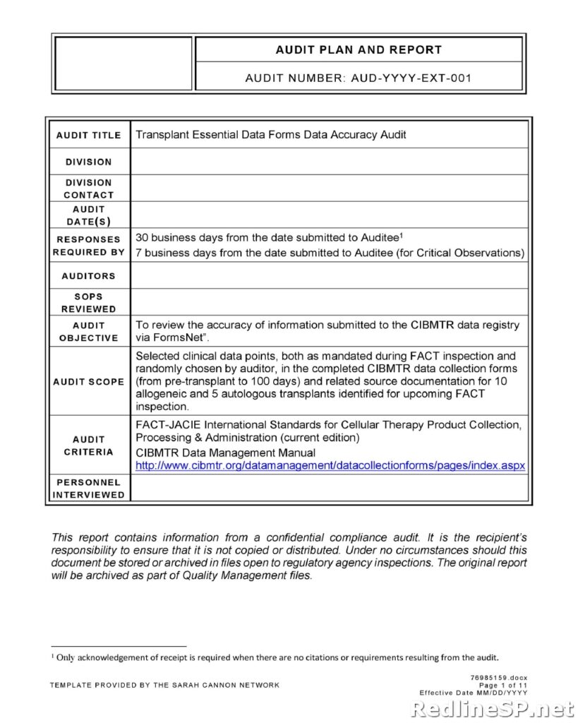 Audit Report Template 34