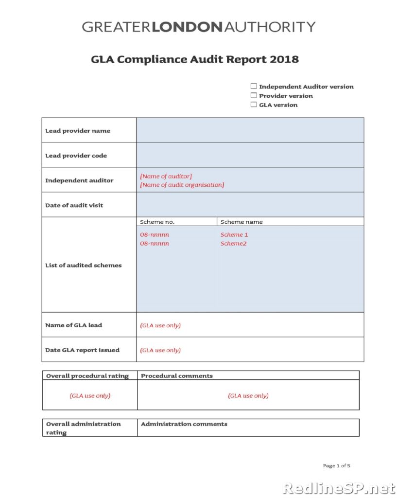 Audit Report Template 41