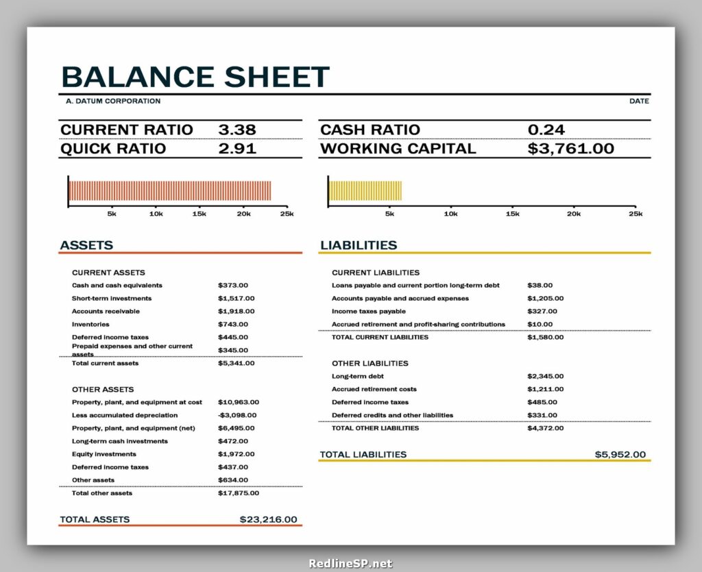 Balance Sheet Format 09