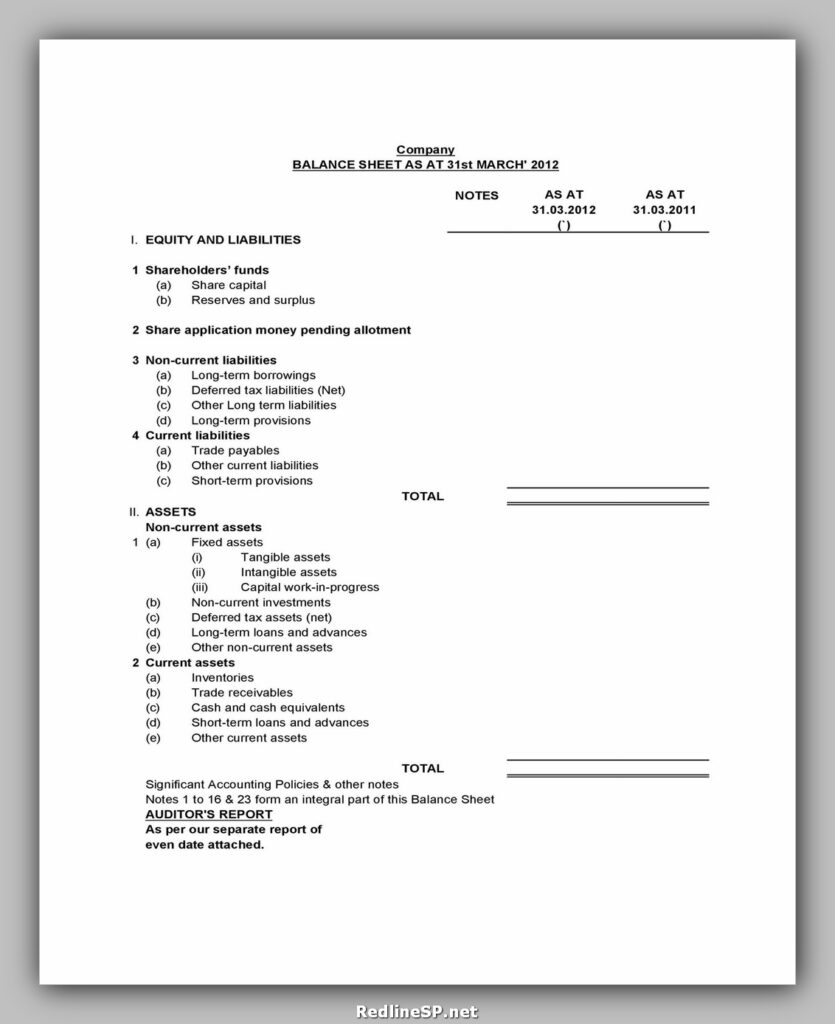 Balance Sheet Sample 24