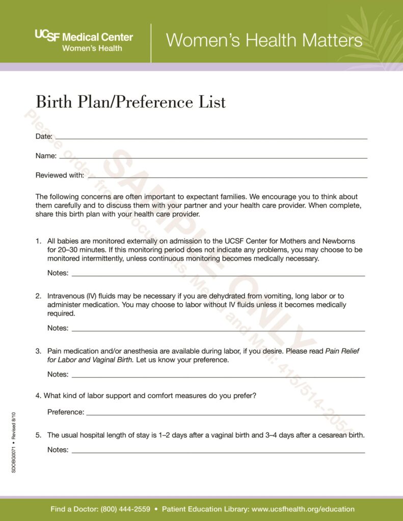 Birth Plan Printable 41