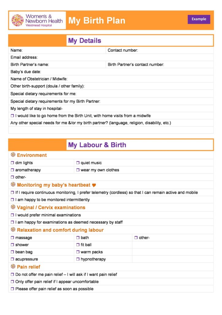 Birth Plan Template 13