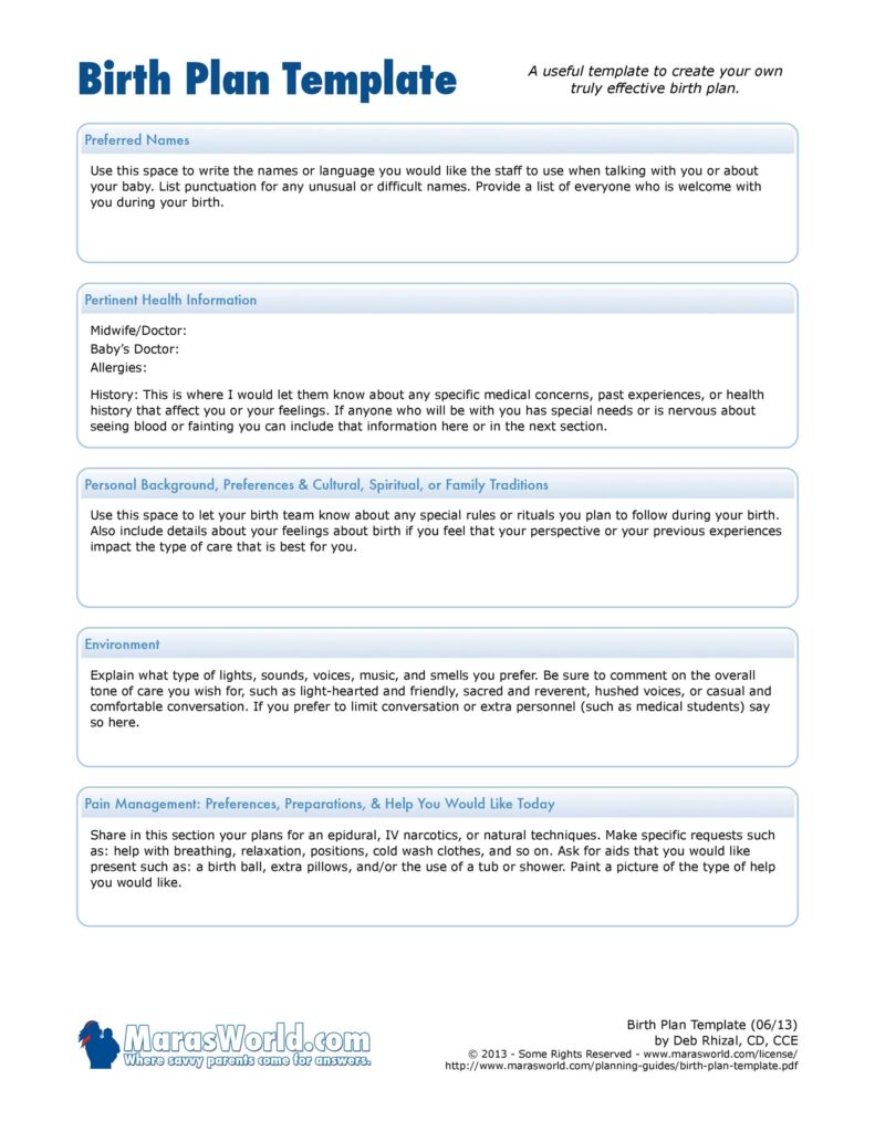 Birth Plan Template 14