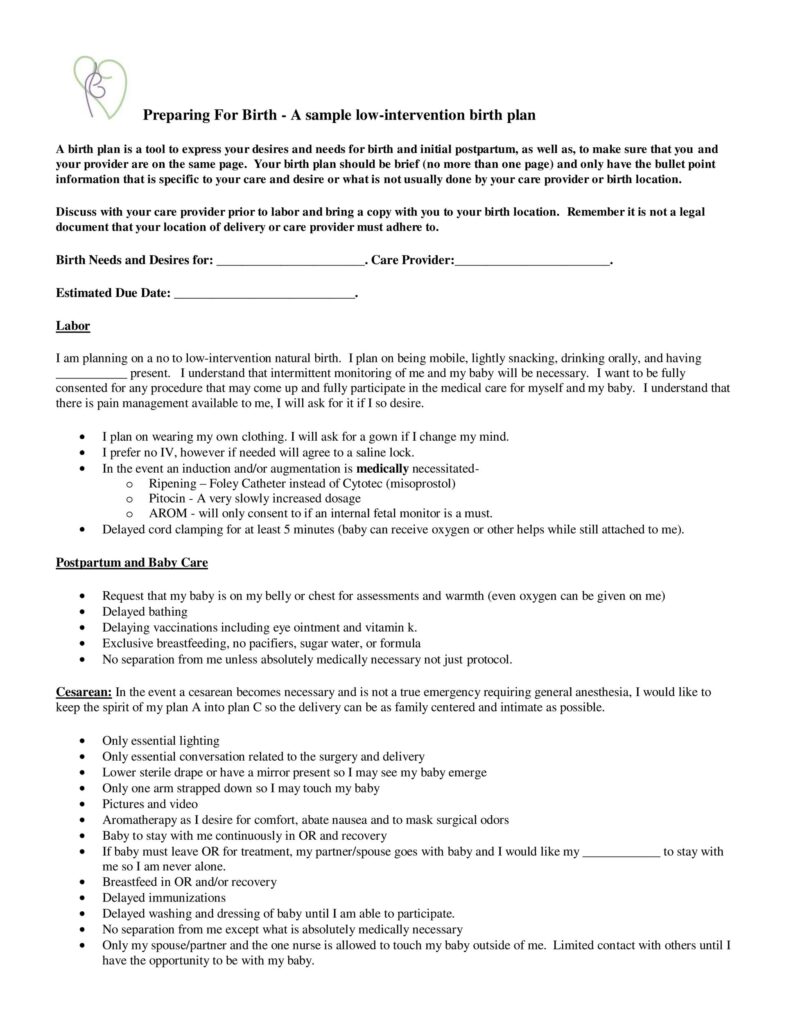 Birth Plan Template 15