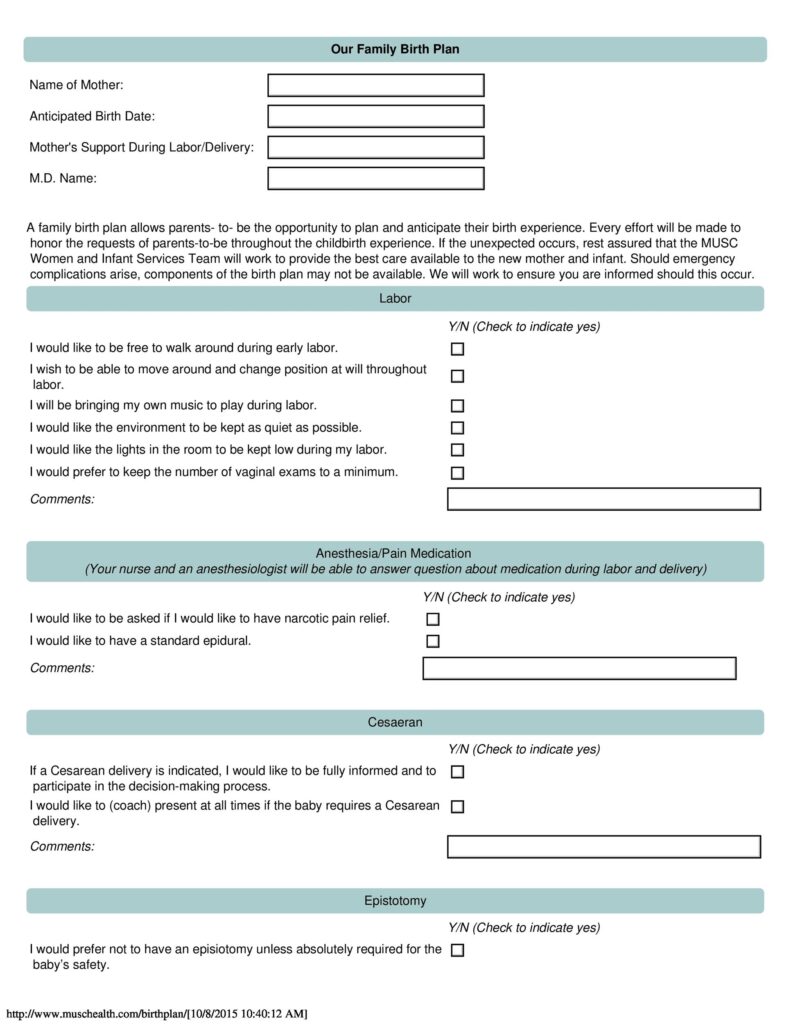 Birth Plan Template 16