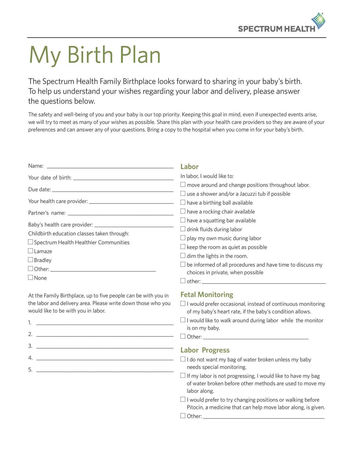 Birth Plan Examples 50 Free Sample – RedlineSP