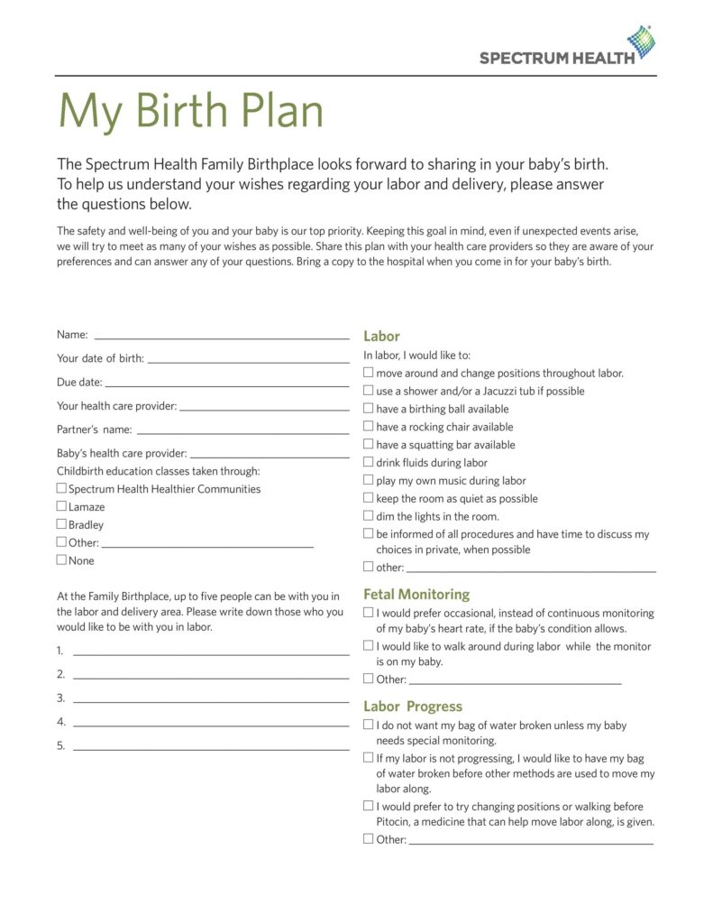 Birth Plan Template 17