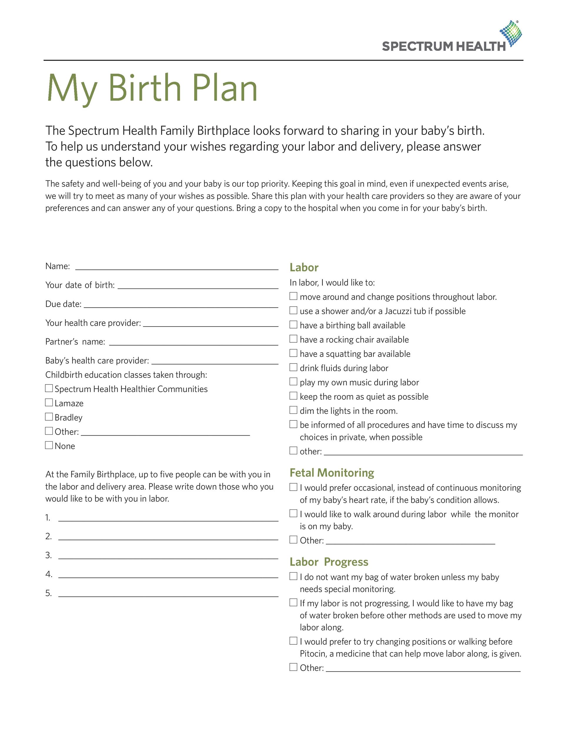 50 Birth Plan Examples RedlineSP