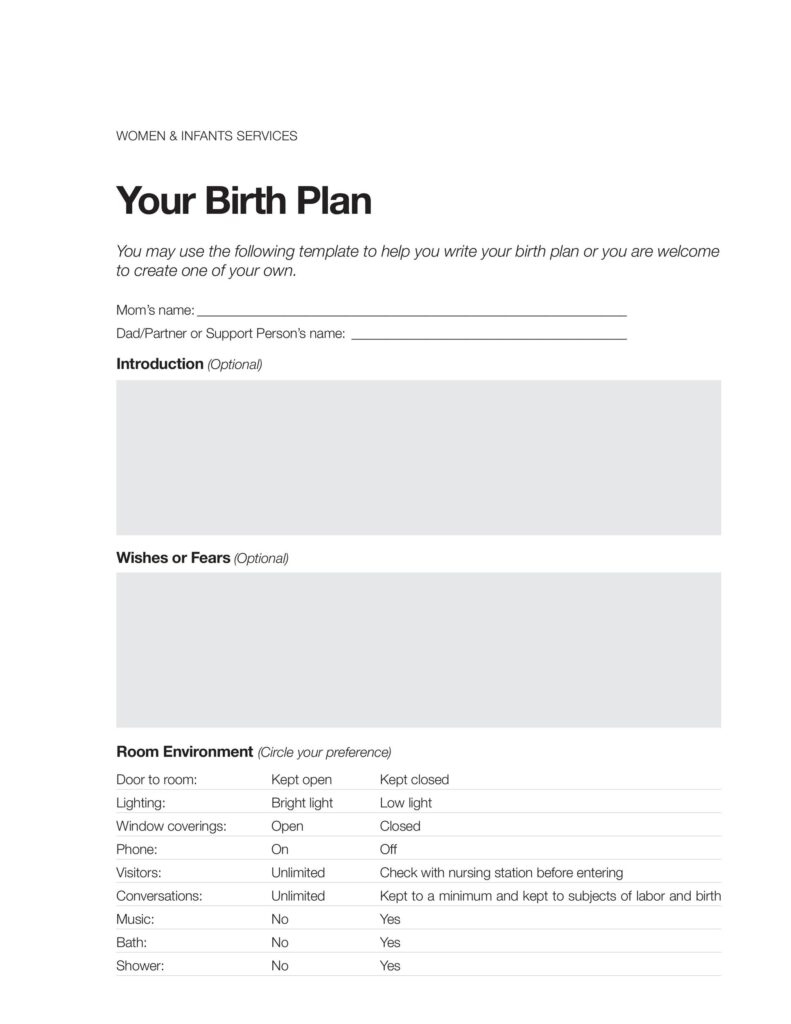 Birth Plan Template 21