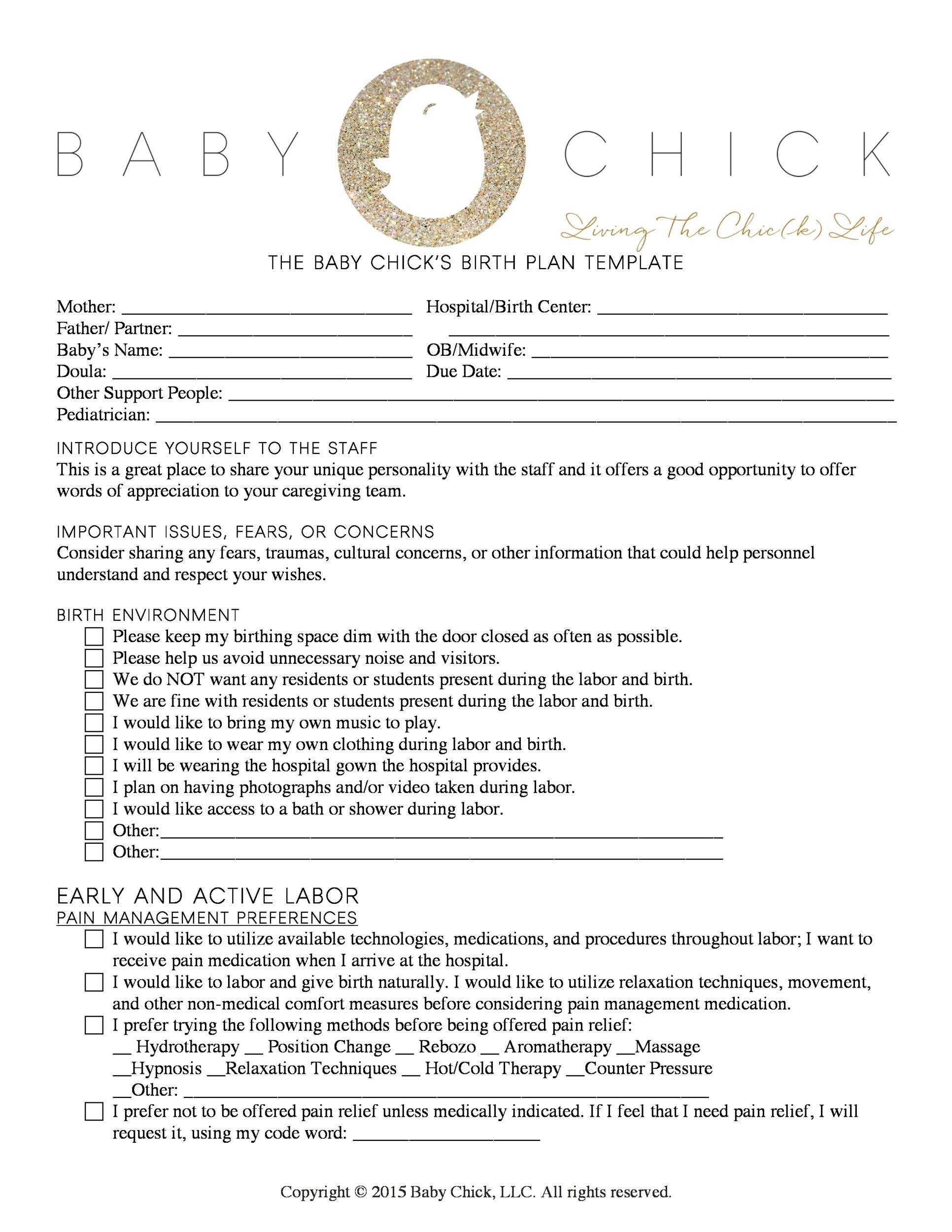 Printable Editable Birth Plan Template