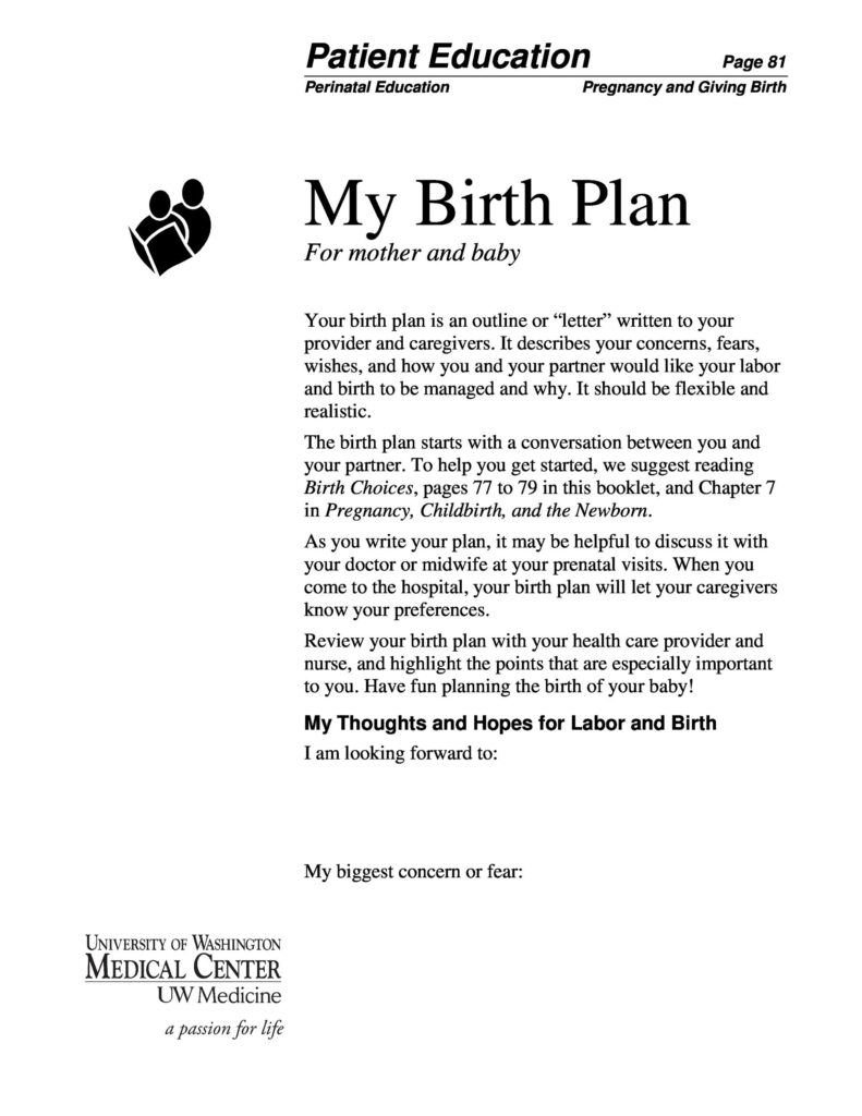 Birth Plan Template 36