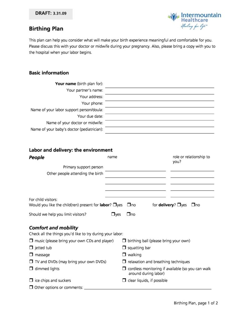 Birth Plan Template 38