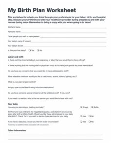 Birth Plan Examples 50 Free Sample - RedlineSP