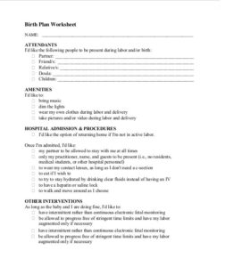 Birth Plan Examples 50 Free Sample - RedlineSP
