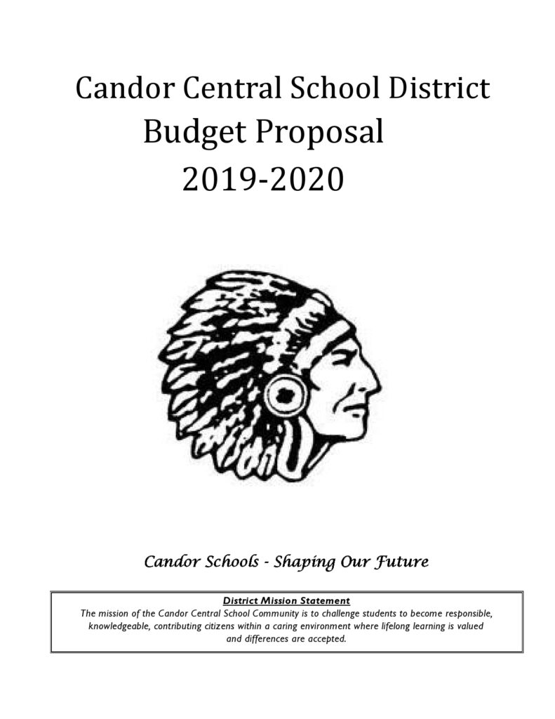 Budget Proposal Sample 30