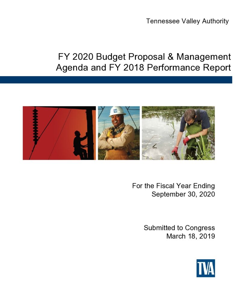 Budget Proposal Sample 46