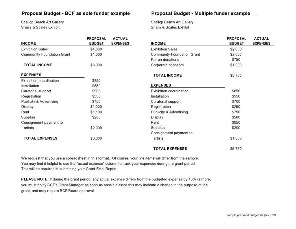 Budget proposal template 14