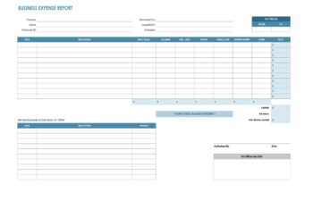 Business Expense Report