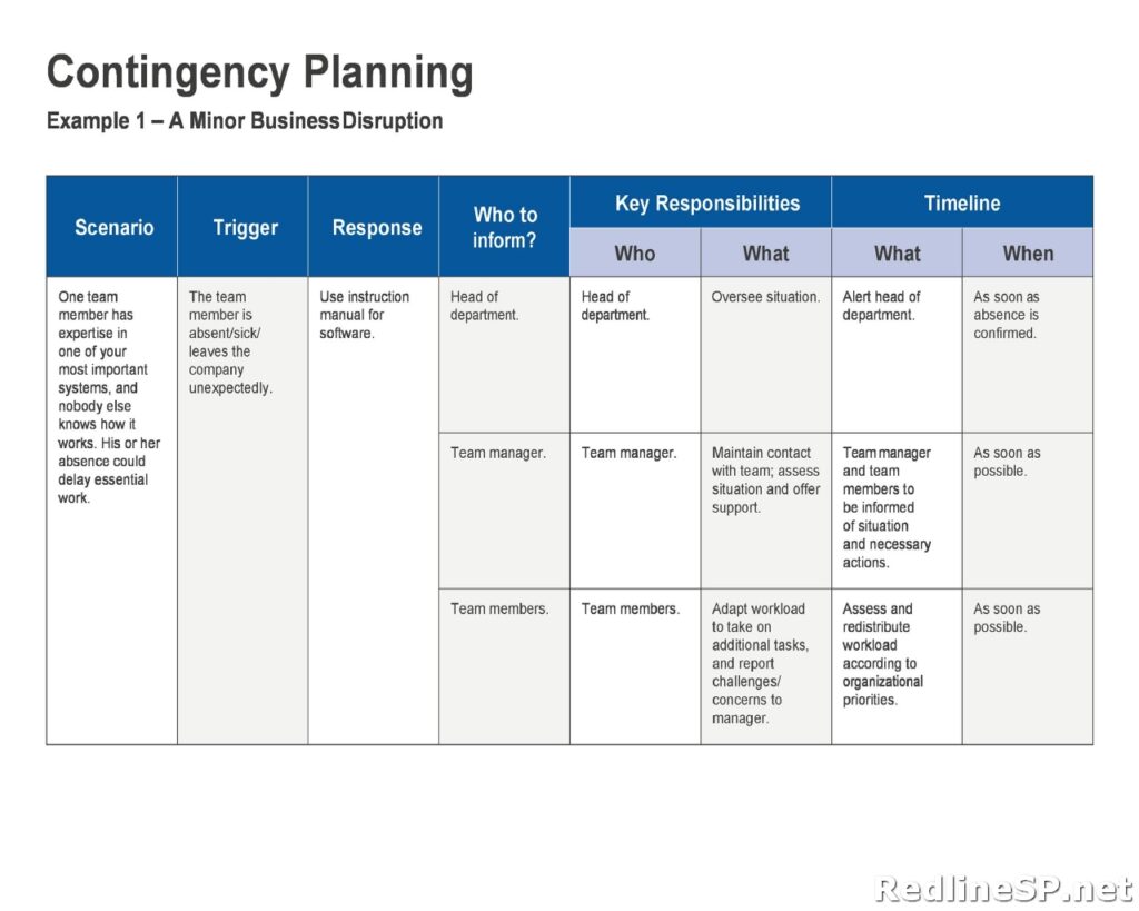 Contingency Plan Sample 12