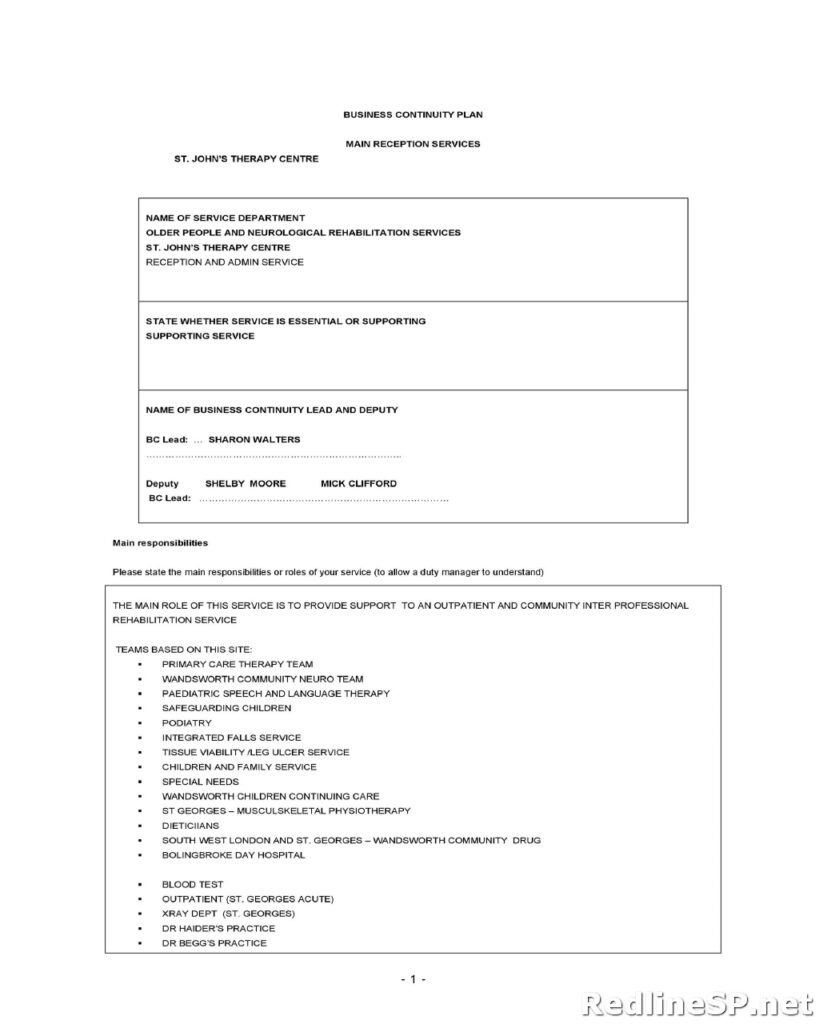 Contingency Plan Template 02