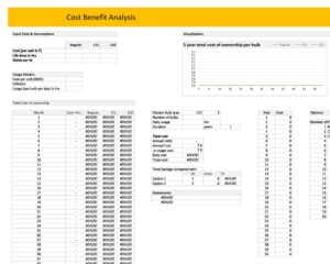 Cost Benefit Analysis Excel 03