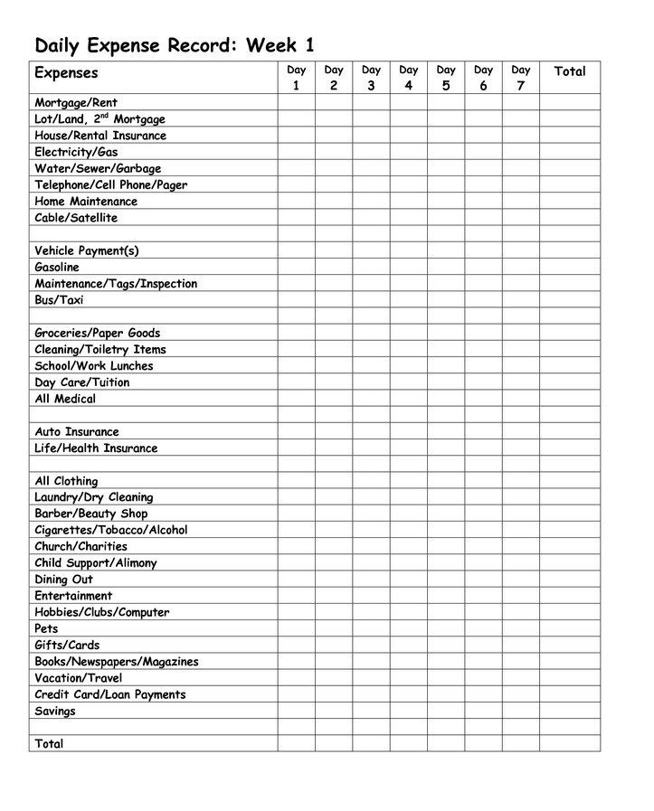 Daily Expense Report Format