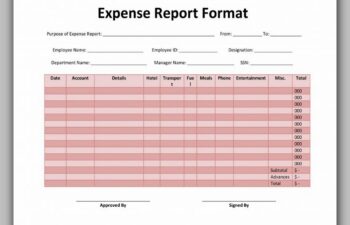 Expense Report Format 29