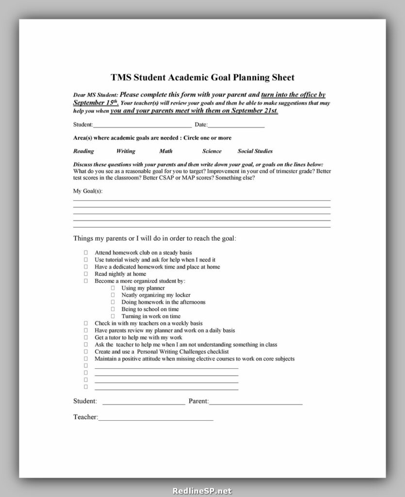 Goal Setting Template 13