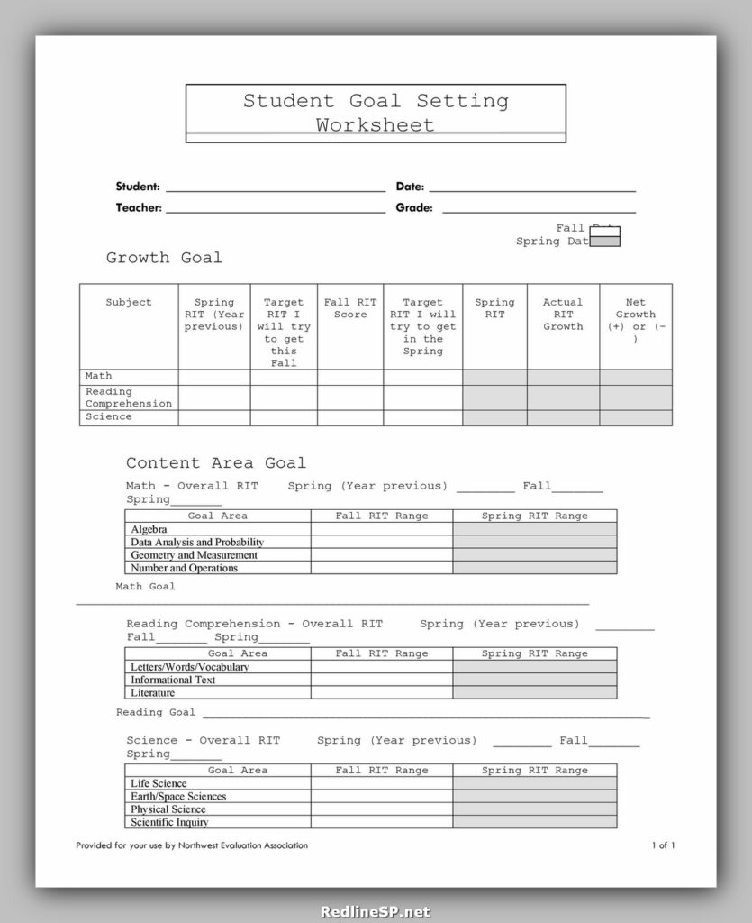 Goal Setting Template Excel 12
