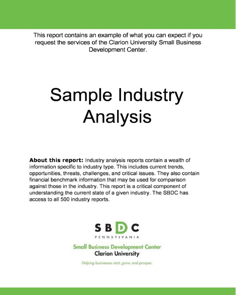 Industry Analysis 31