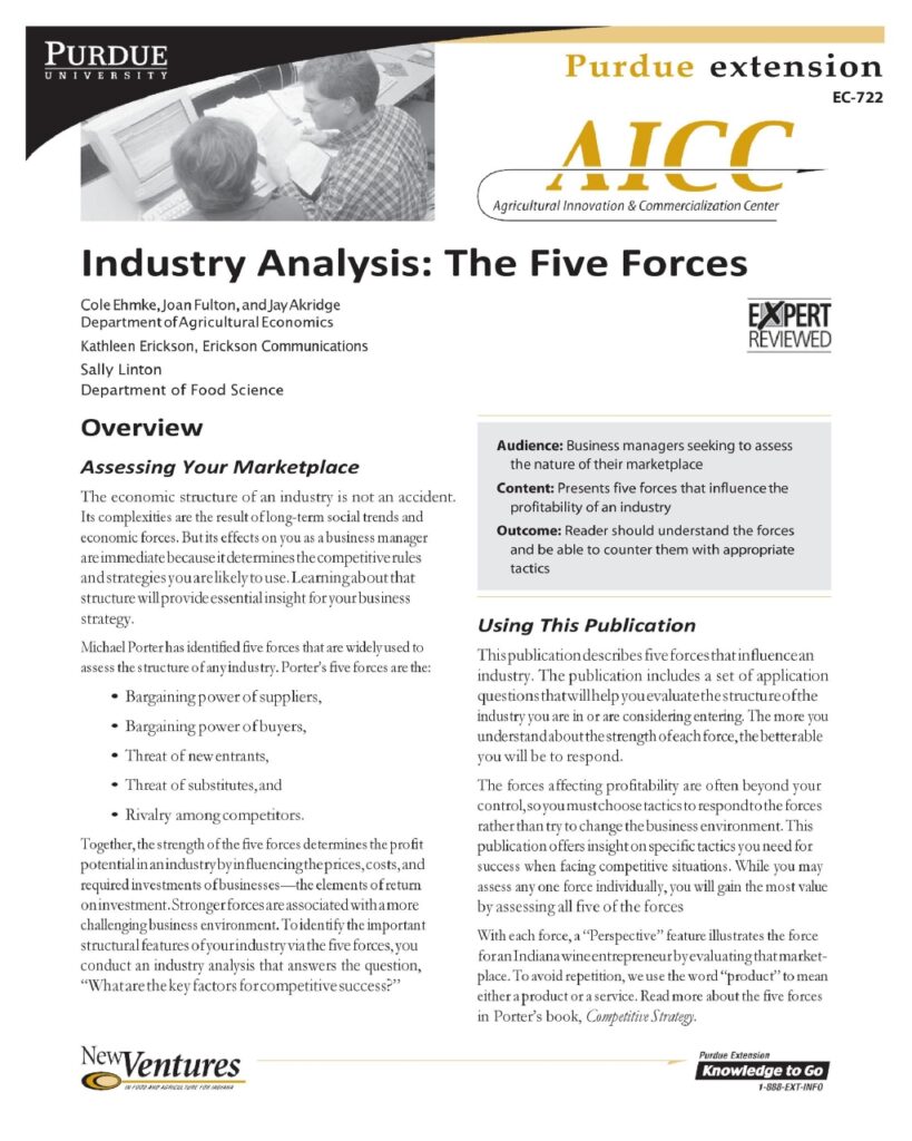 Industry Analysis Example 15