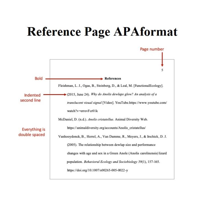 apa reference page requirements