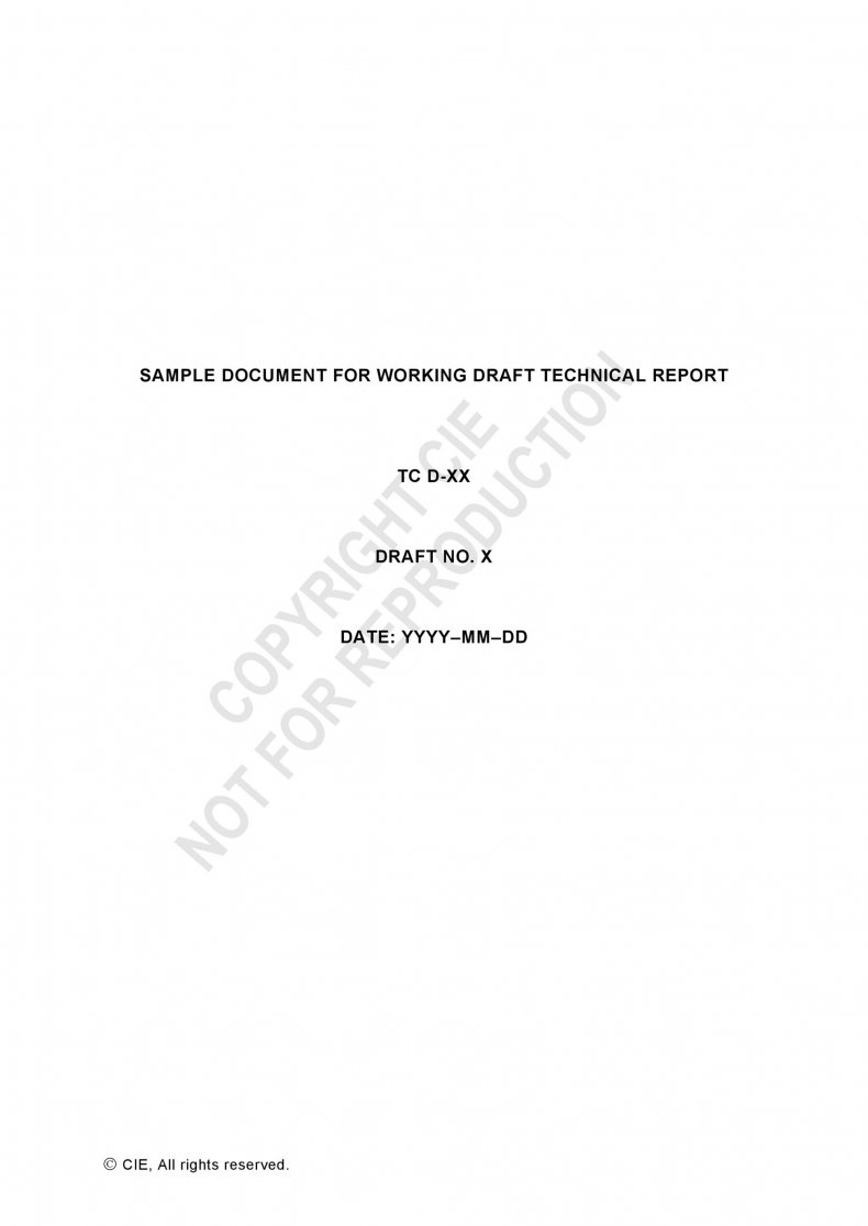 Technical Report Template 03