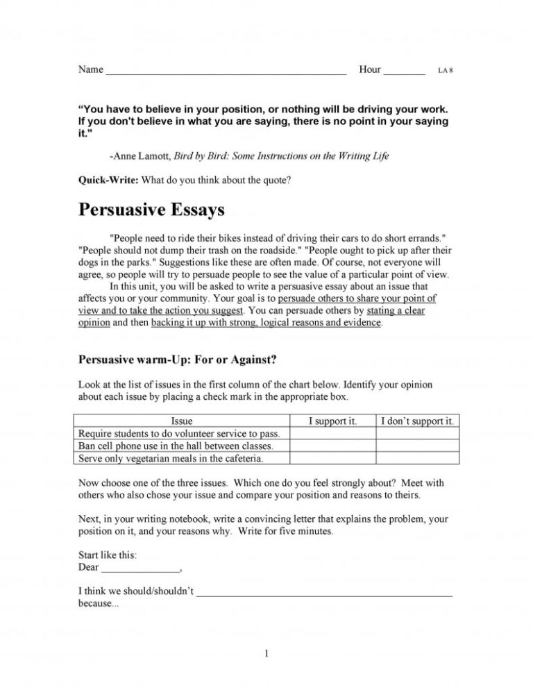 what should a persuasive essay include