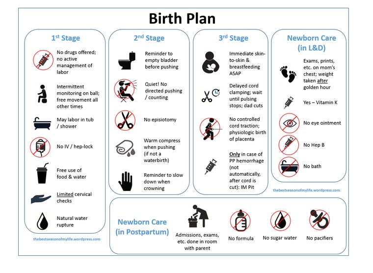 visual birth plan